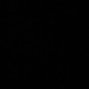 Meet your Posher, Miriam